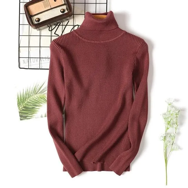 Basic Ribbed Turtleneck Sweatshirt (18 Colors!)