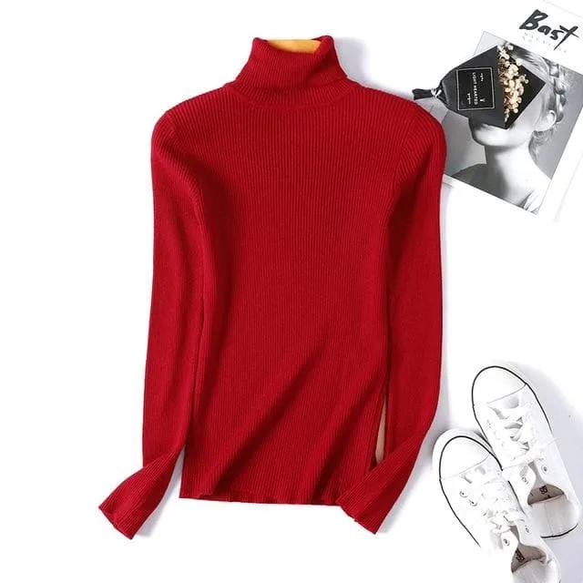 Basic Ribbed Turtleneck Sweatshirt (18 Colors!)