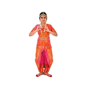 Bharatnatyam Costume Red and Pink for Fancy Dress/Costume Competitions/School Events/Annual Functions