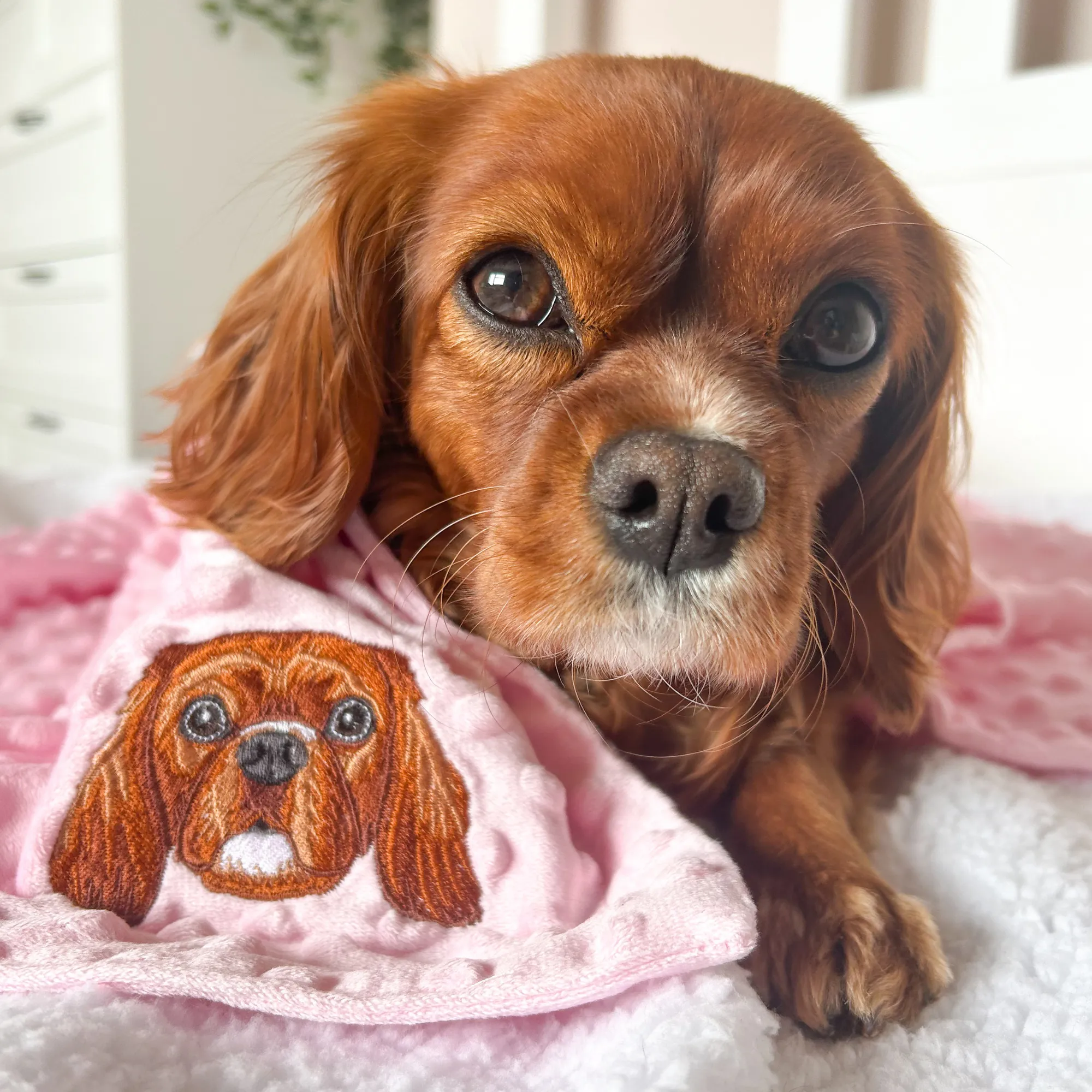 Embroidered Custom Pet Portrait Pet Blanket