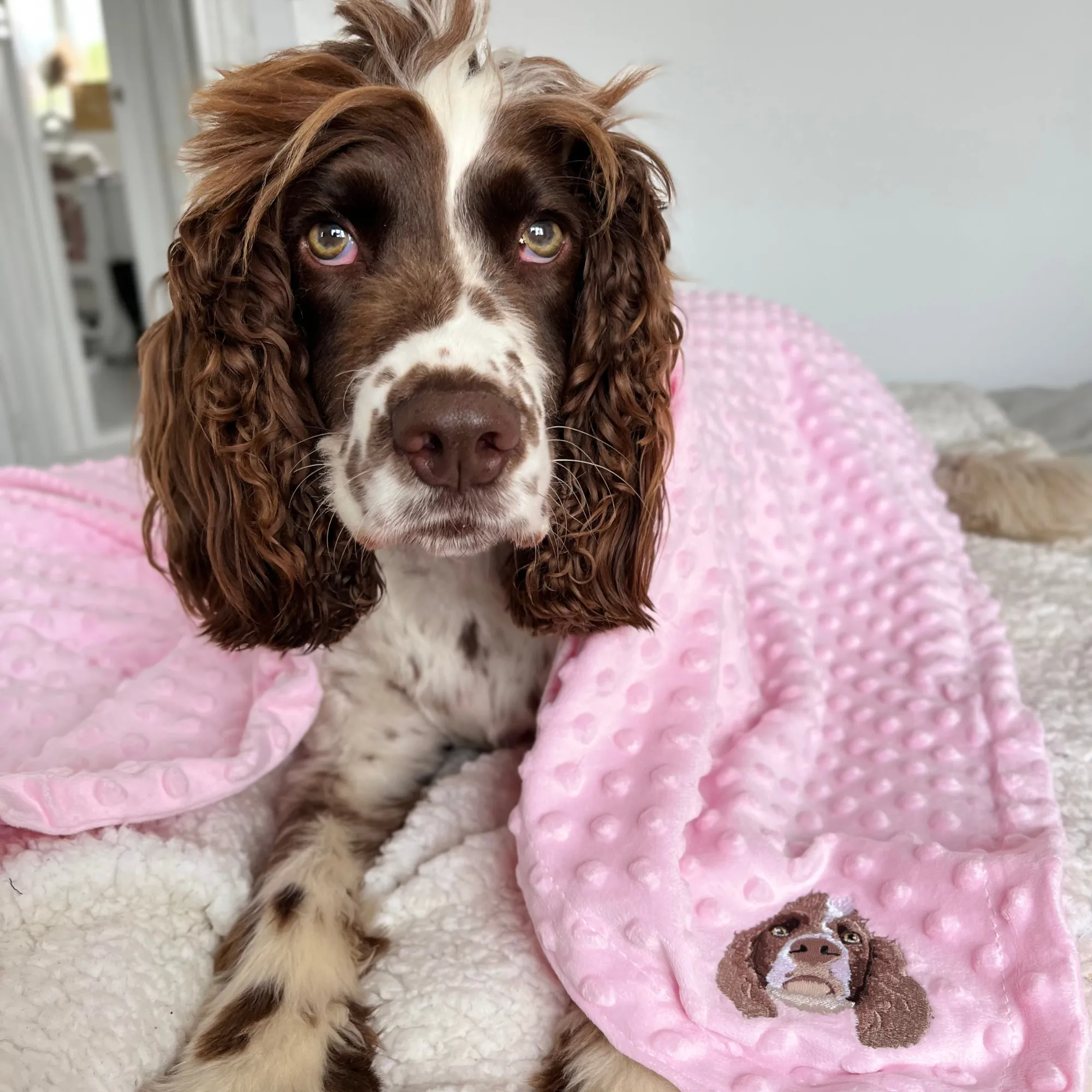 Embroidered Custom Pet Portrait Pet Blanket