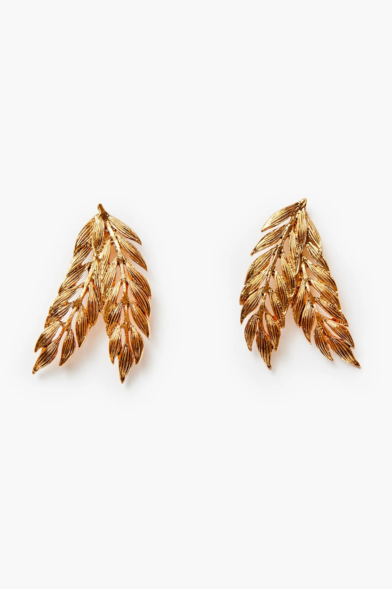 Gold Spruce Earrings