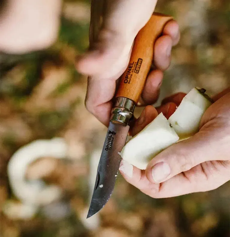 Opinel Classic Originals Carbon Steel