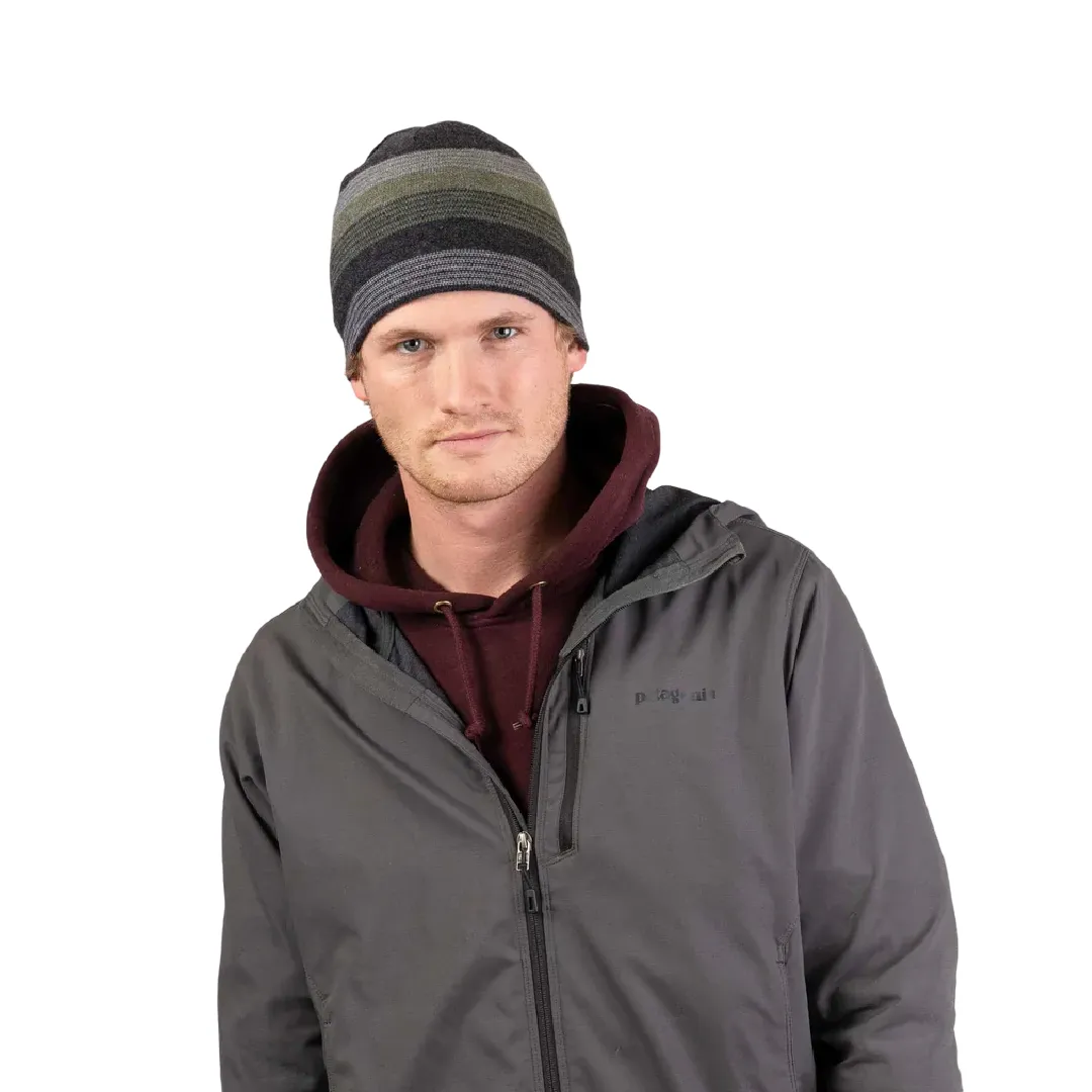 Pistil Men's Chase Beanie