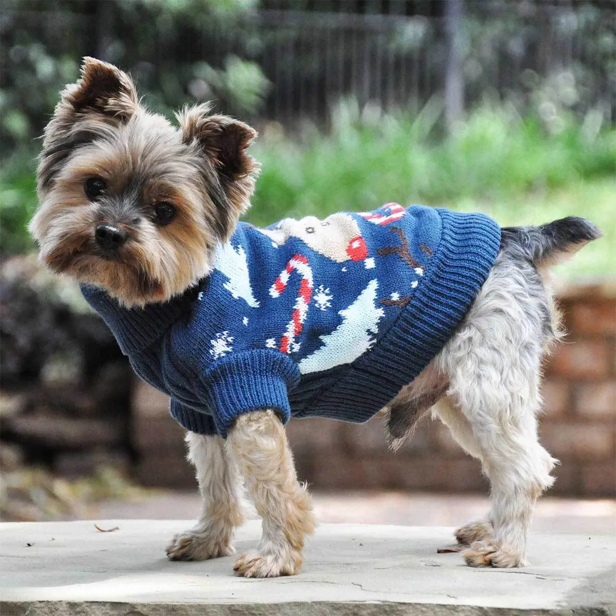 Reindeer Holiday Dog Sweater